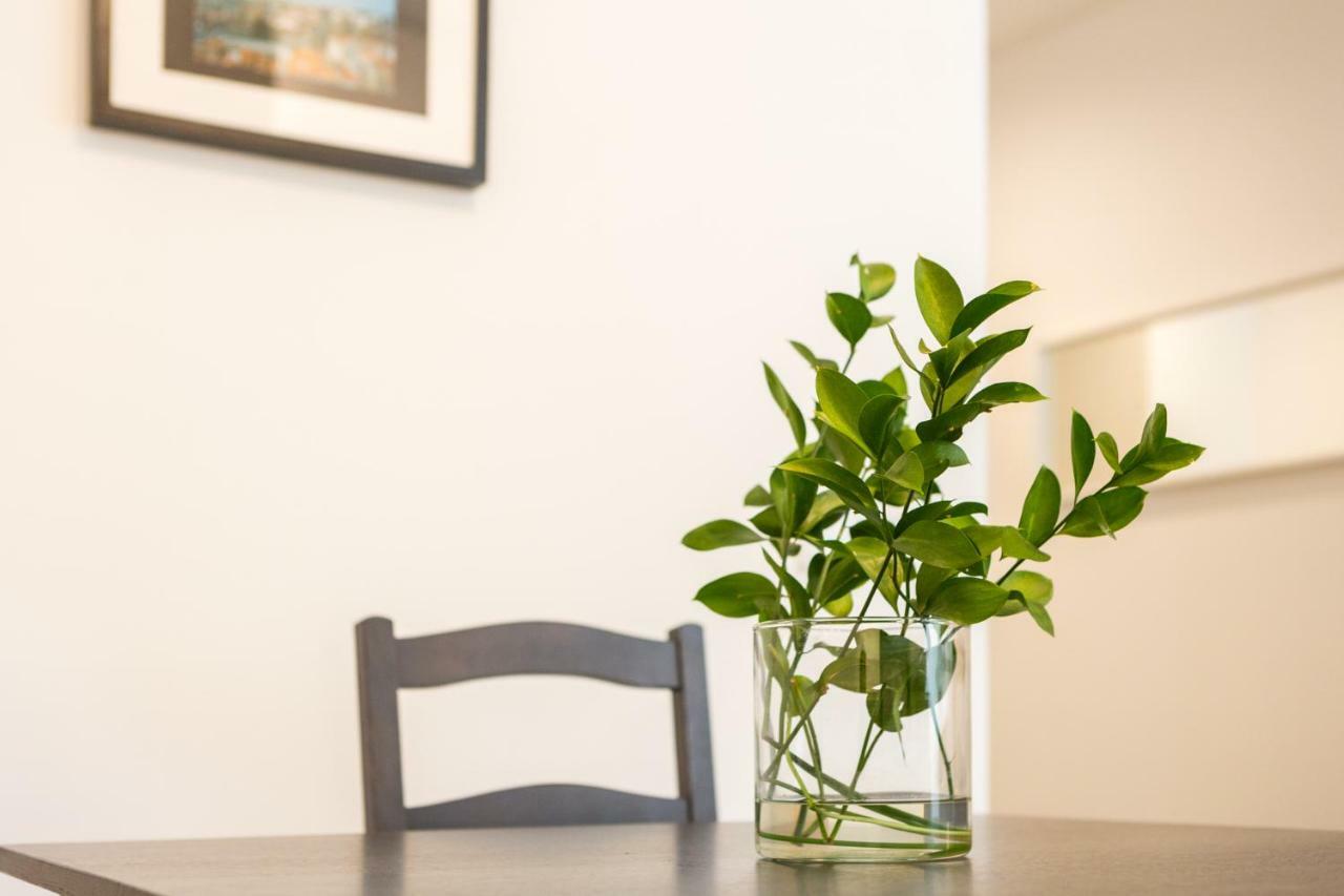 Samasal Trindade Apartments 波尔图 外观 照片